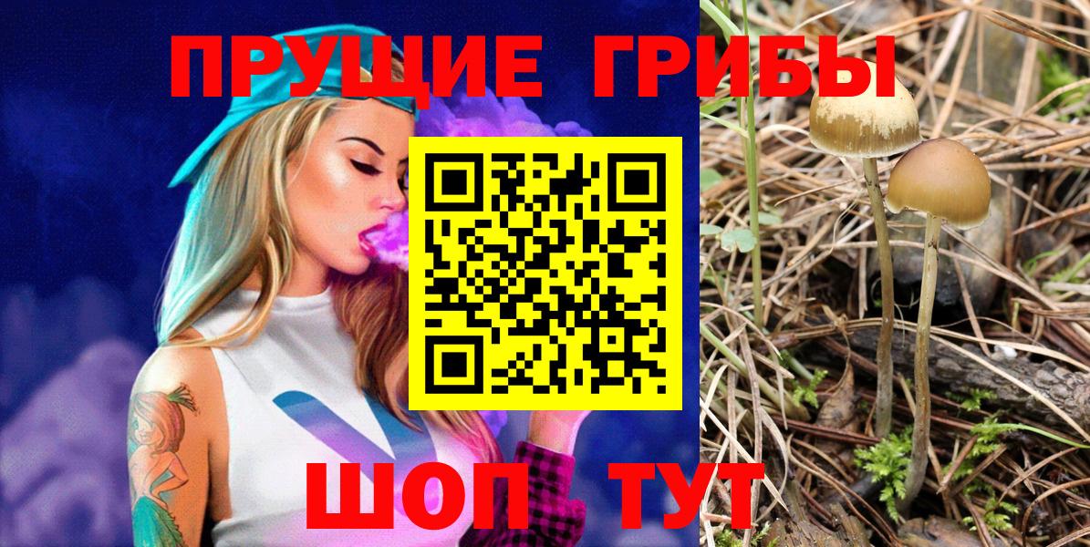 Осинники  как найти наркотики  Вход с VPN  Галлюциногенные грибы прущие грибы 