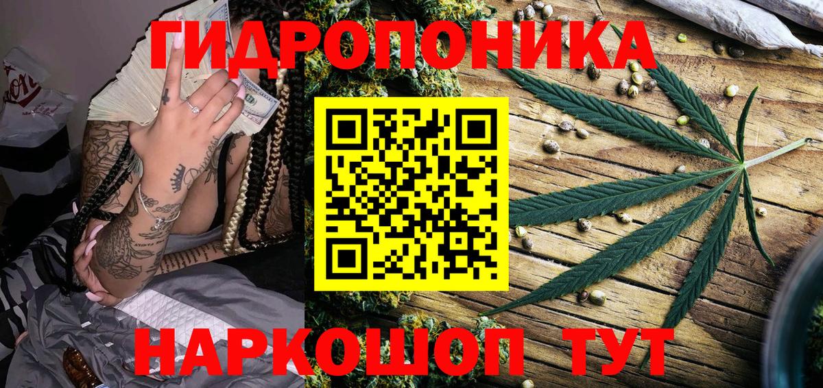 Каннабис SATIVA & INDICA Осинники
